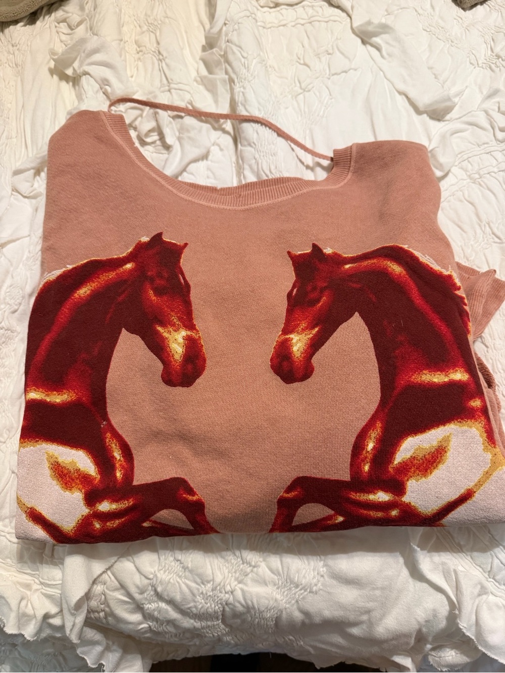 Free people Camden Oversized Tan Sweatshirt with Red Horse Graphic - Picture 2 of 2